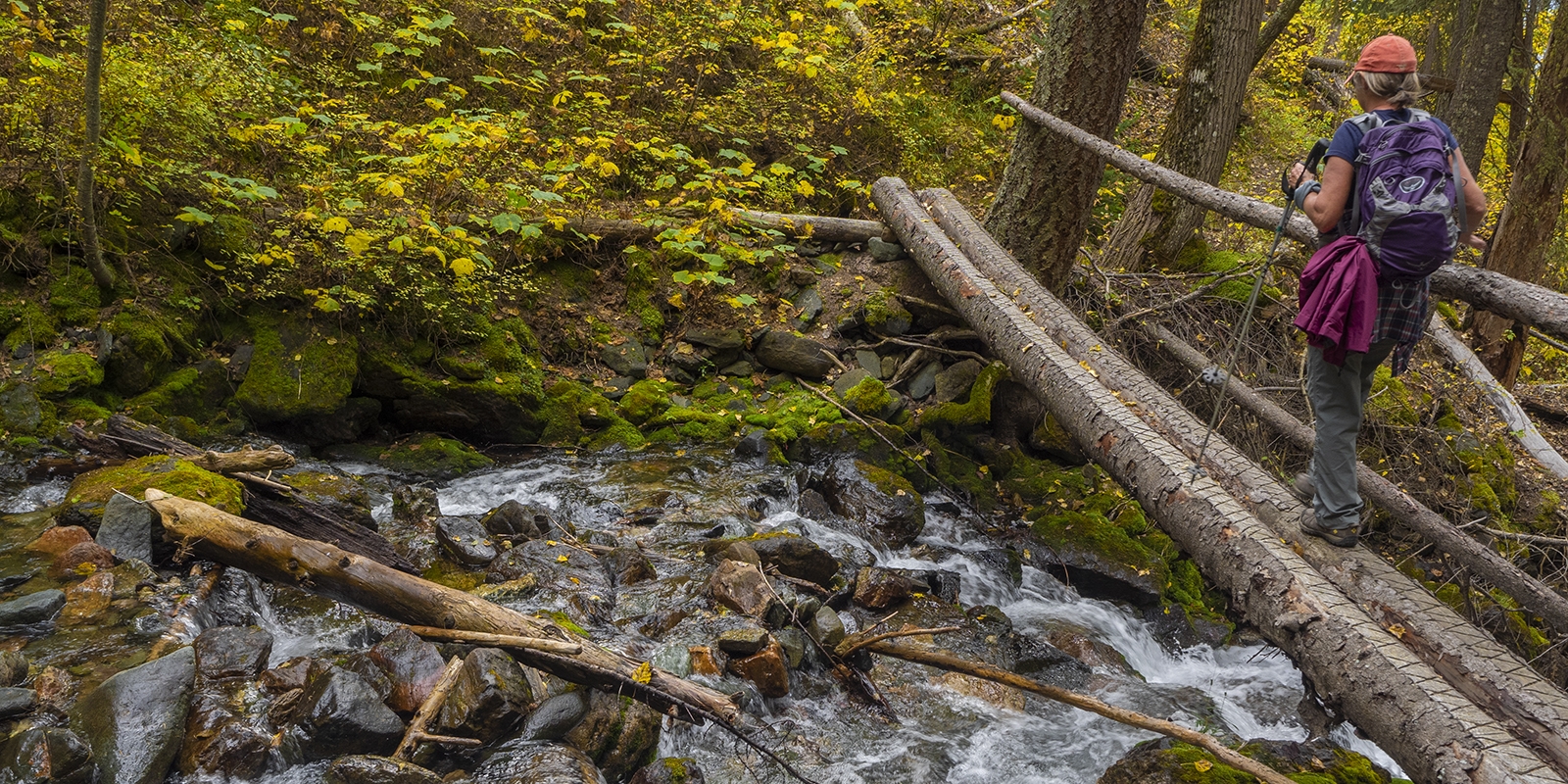 Explore the Mountains and the Waterways around Cranbrook 