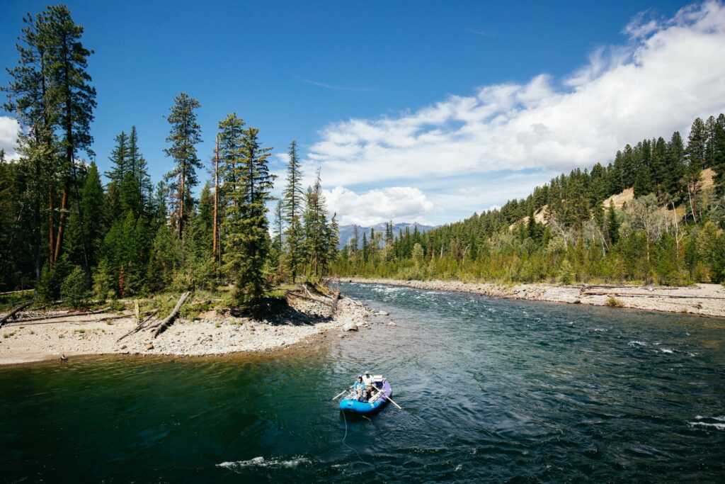 Fly fishing on St Mary River