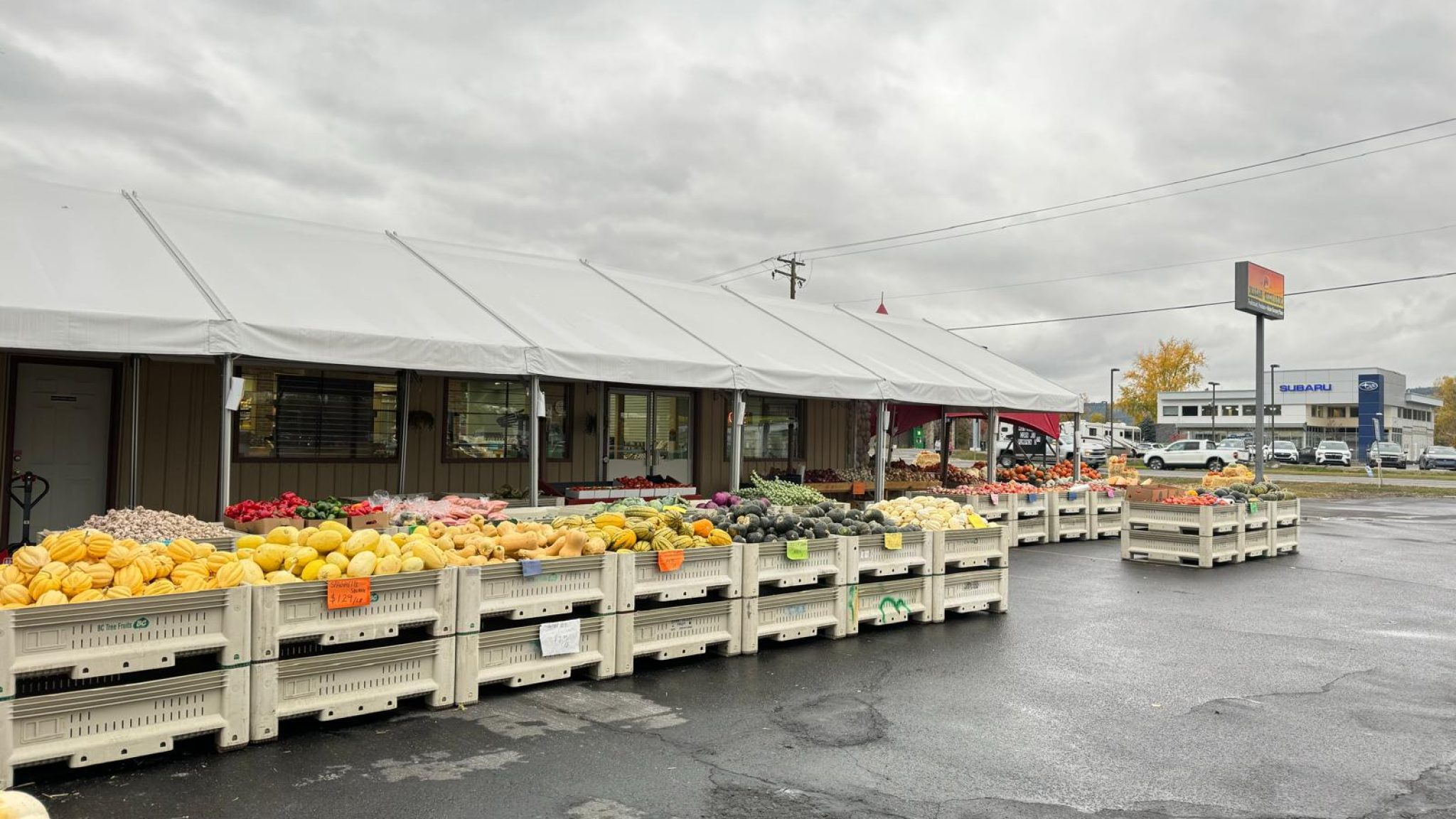 472142197_122123923352406796_685197168861861604_n