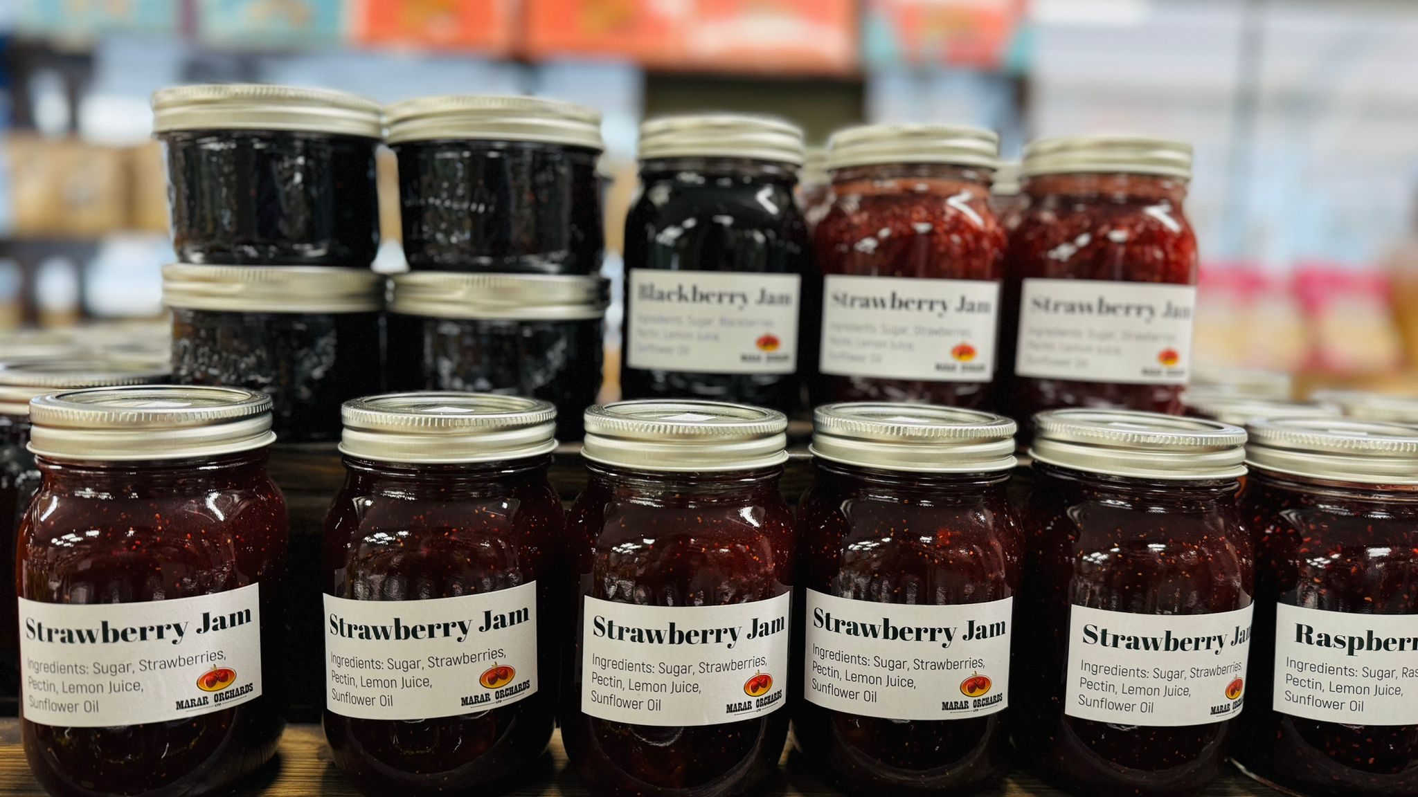 472767990_122124162926406796_66035566742787291_n