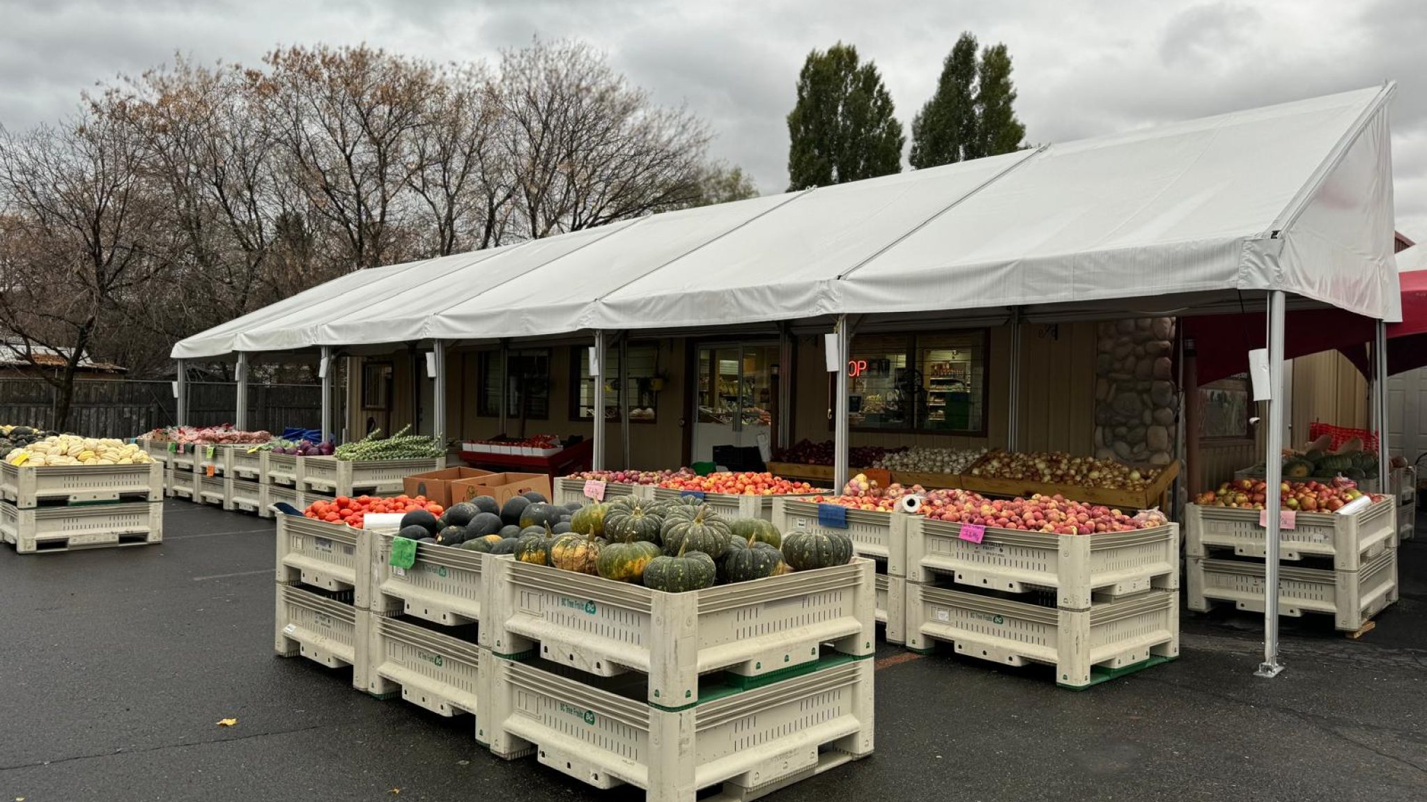 472830261_122123923670406796_6377364123341259734_n