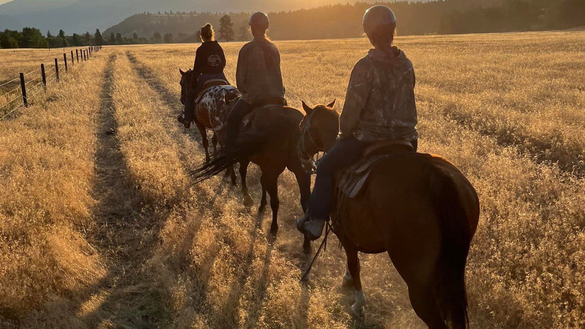 Spur Valley Adventures