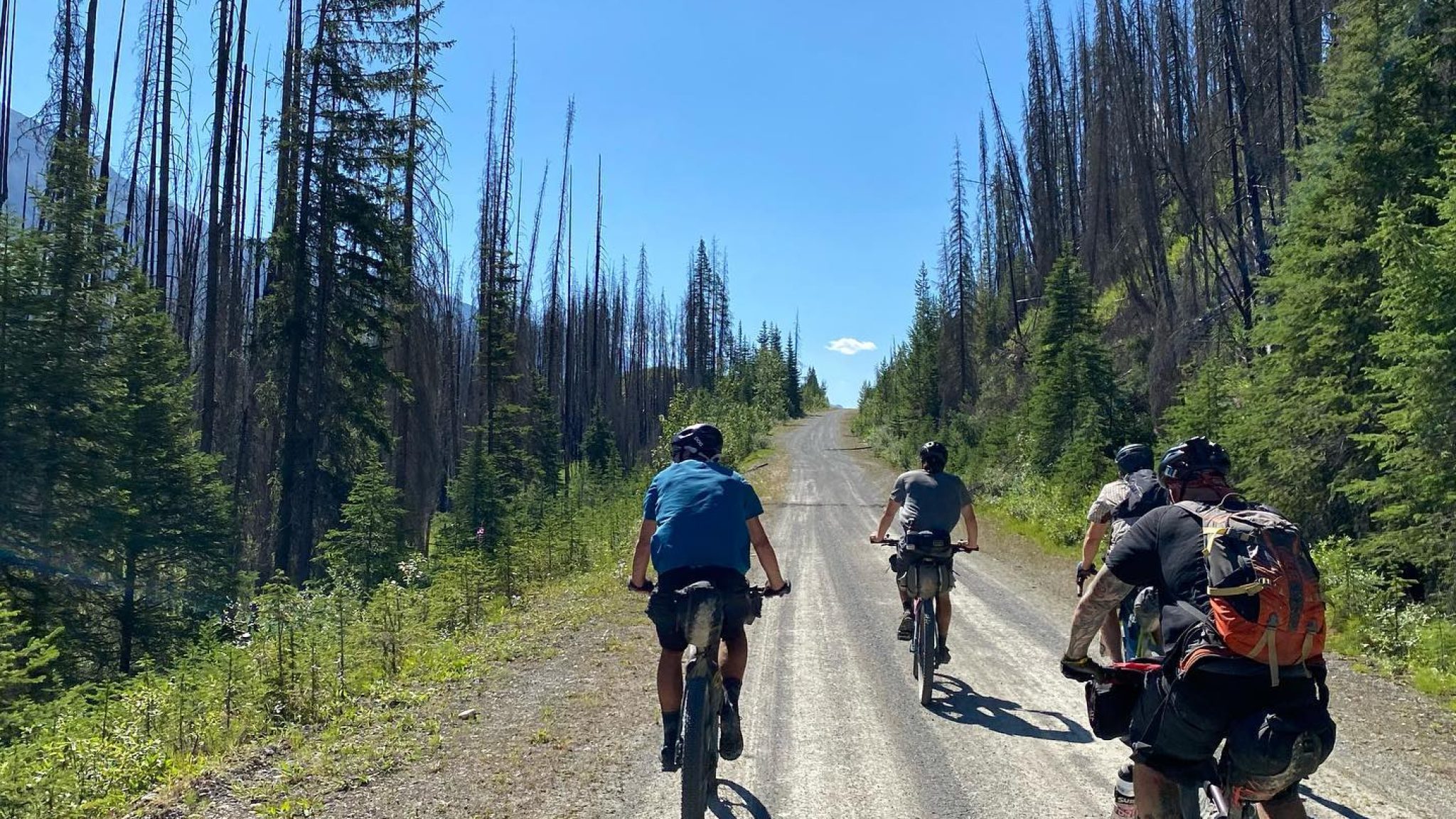 475639388_1056045096534894_5035248629857253436_n