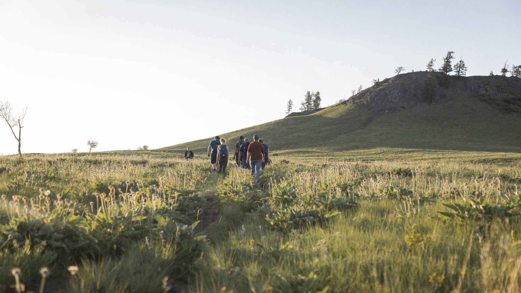 Cranbrook Tourism - Summer Campaign