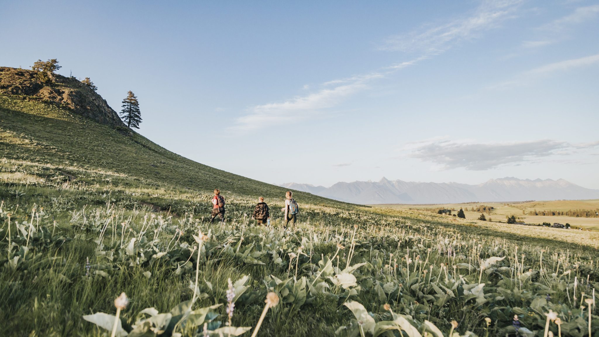 Cranbrook Tourism - Summer Campaign