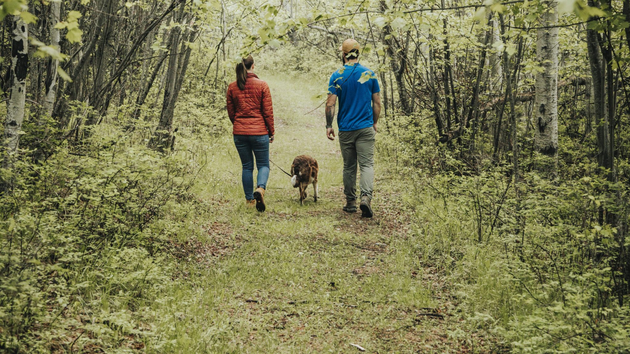 Cranbrook Tourism - Summer Campaign