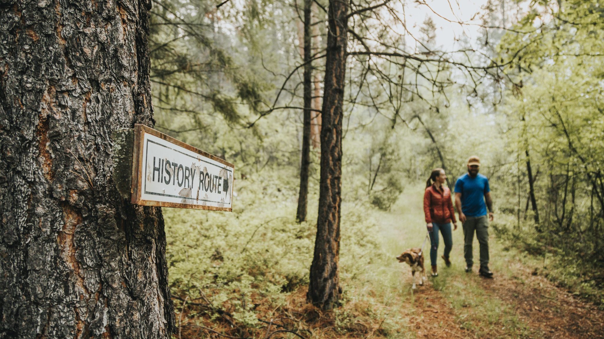 Cranbrook Tourism - Summer Campaign