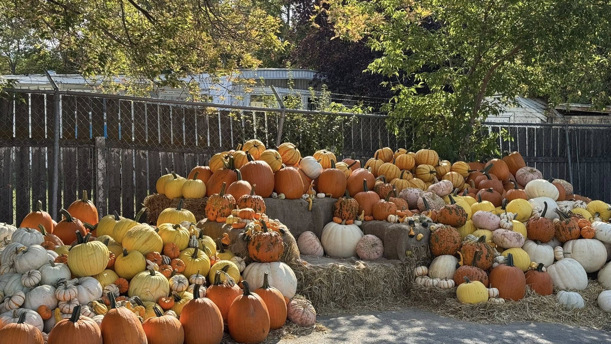 549595472_122146899698406796_3579683324450582753_n