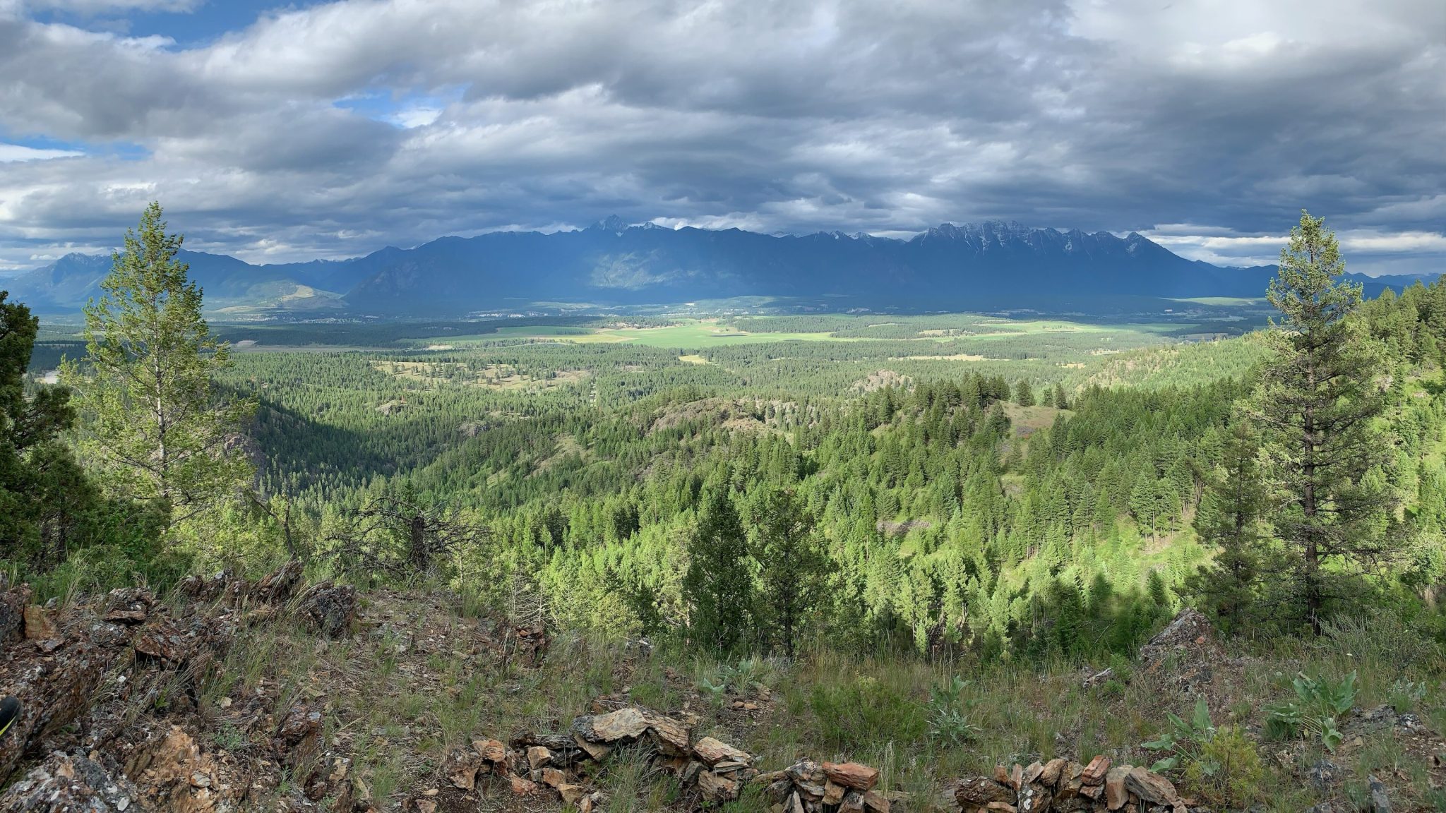 bee-line-trail-top-2