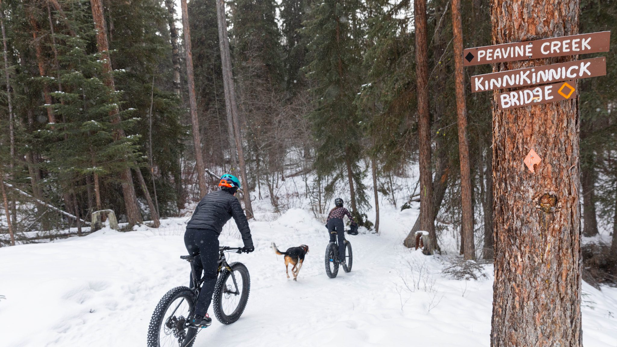 Cranbrook-Winter-Photo-Shoot---Fatbike-Cranbrook-21