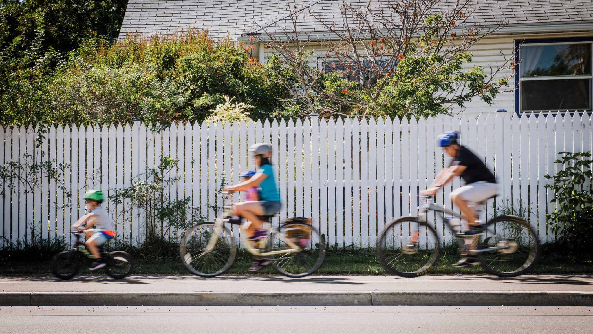 CTSummer2019TopPicksHighRes(10of38)