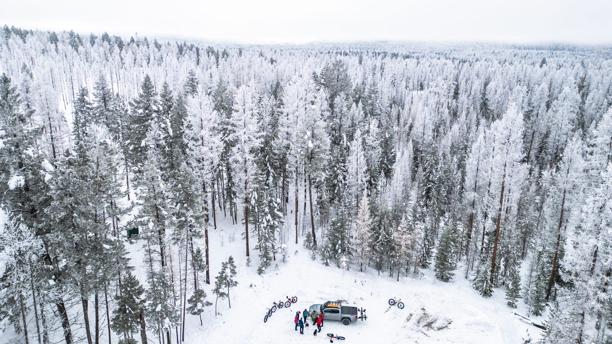 Cranbrook Tourism - Winter 2024