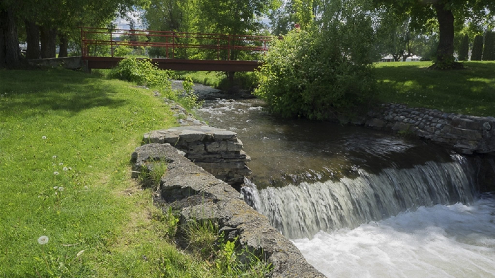 JaniceStrong-Cranbrook-Baker-Park-Urban-9089copy-md