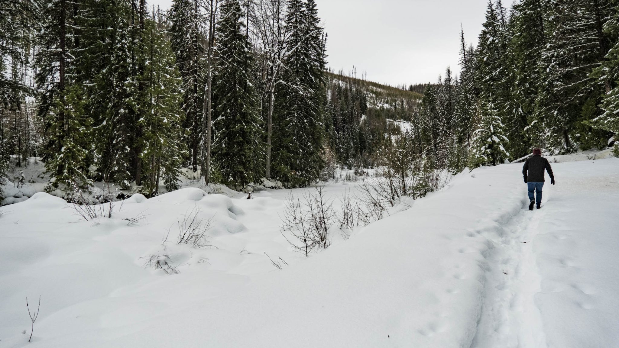 Location Scout - Moyie Lumberton Falls 122822 WEB-5