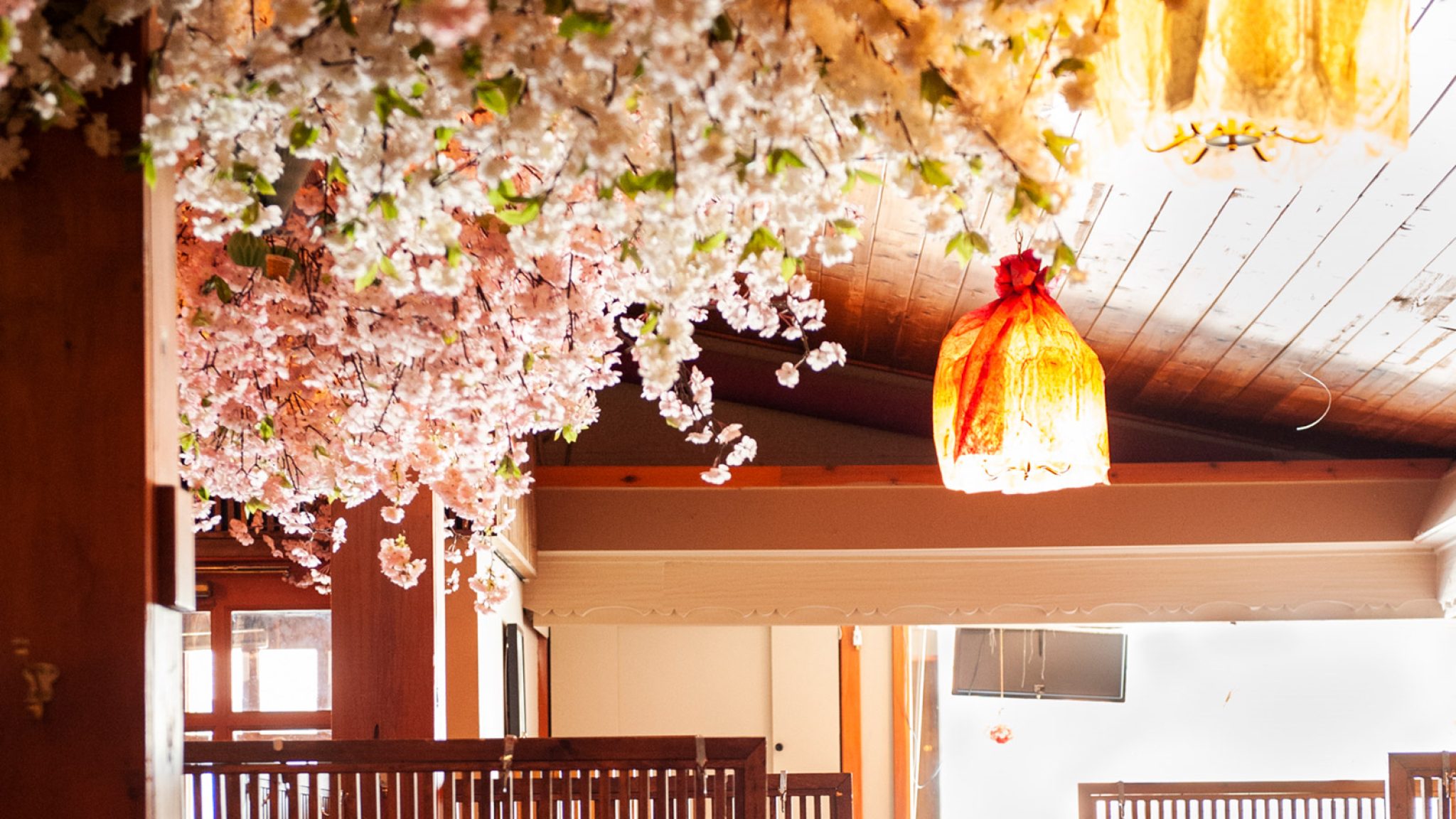 Sakura Sushi & Grill