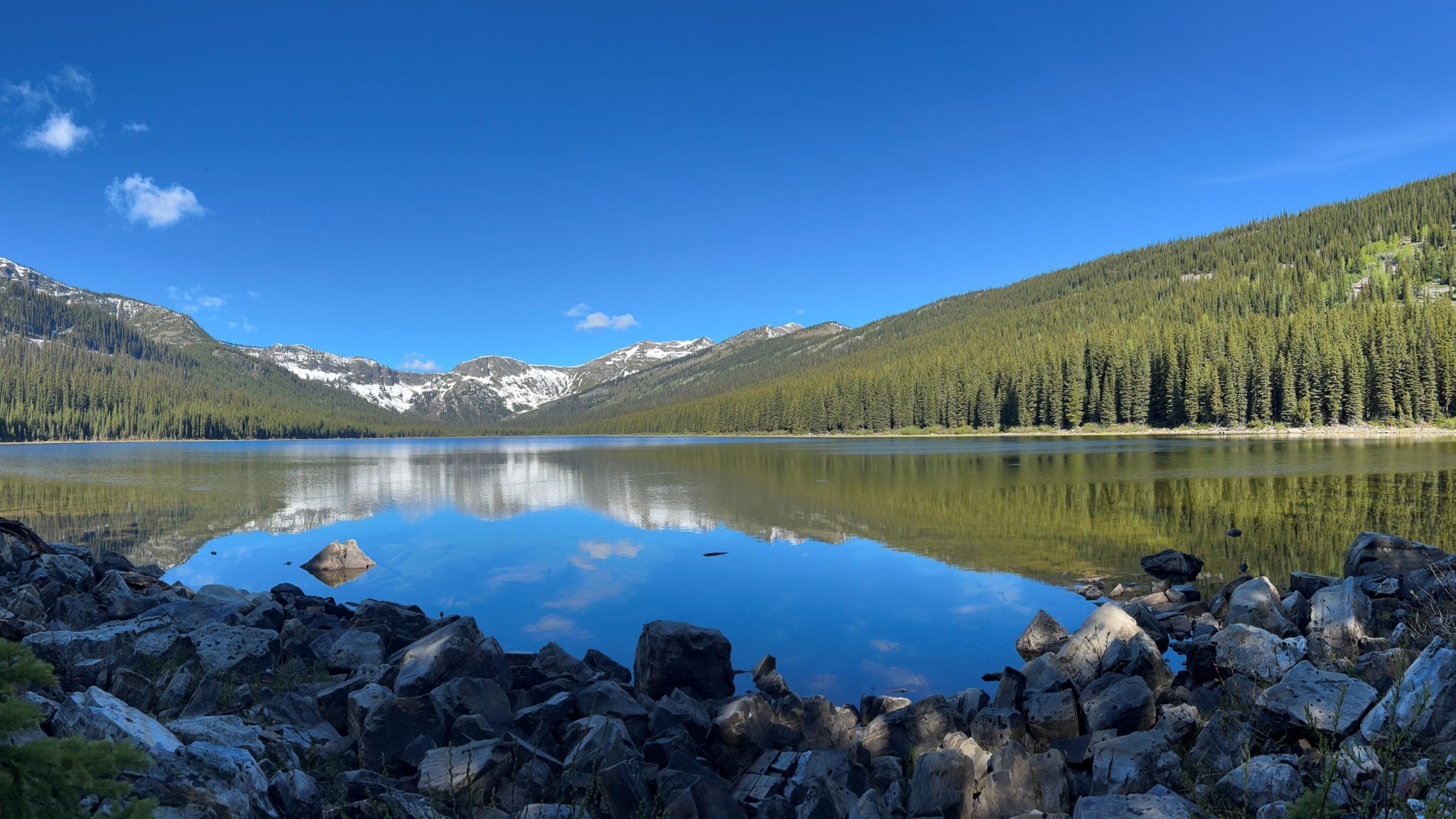 Shoreline view cooper lake