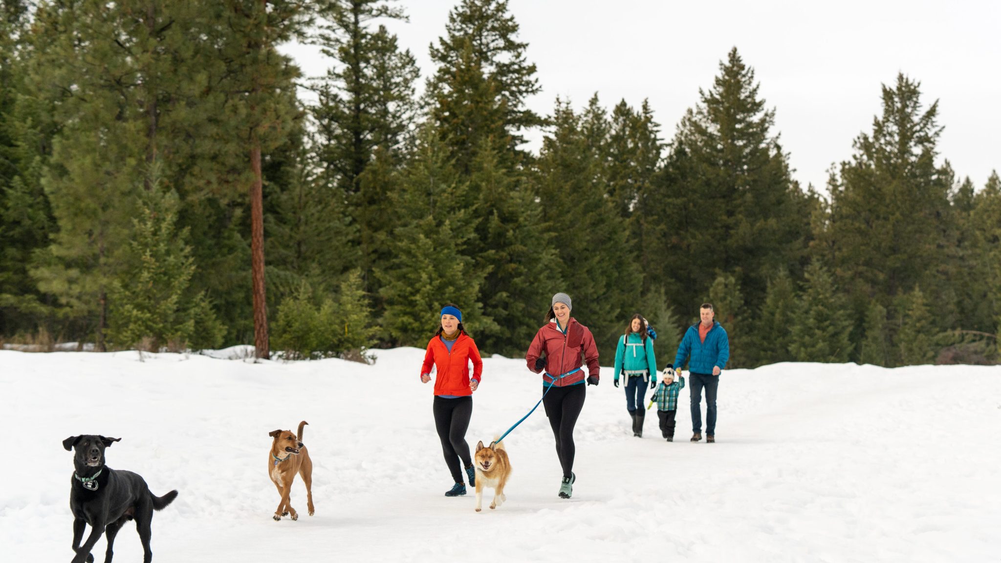 Tourism.Cranbrook.Finals.V1-17