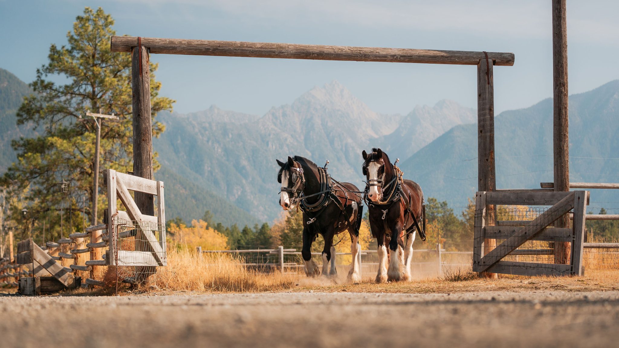 Tourism_Cranbrook_ROAM_124