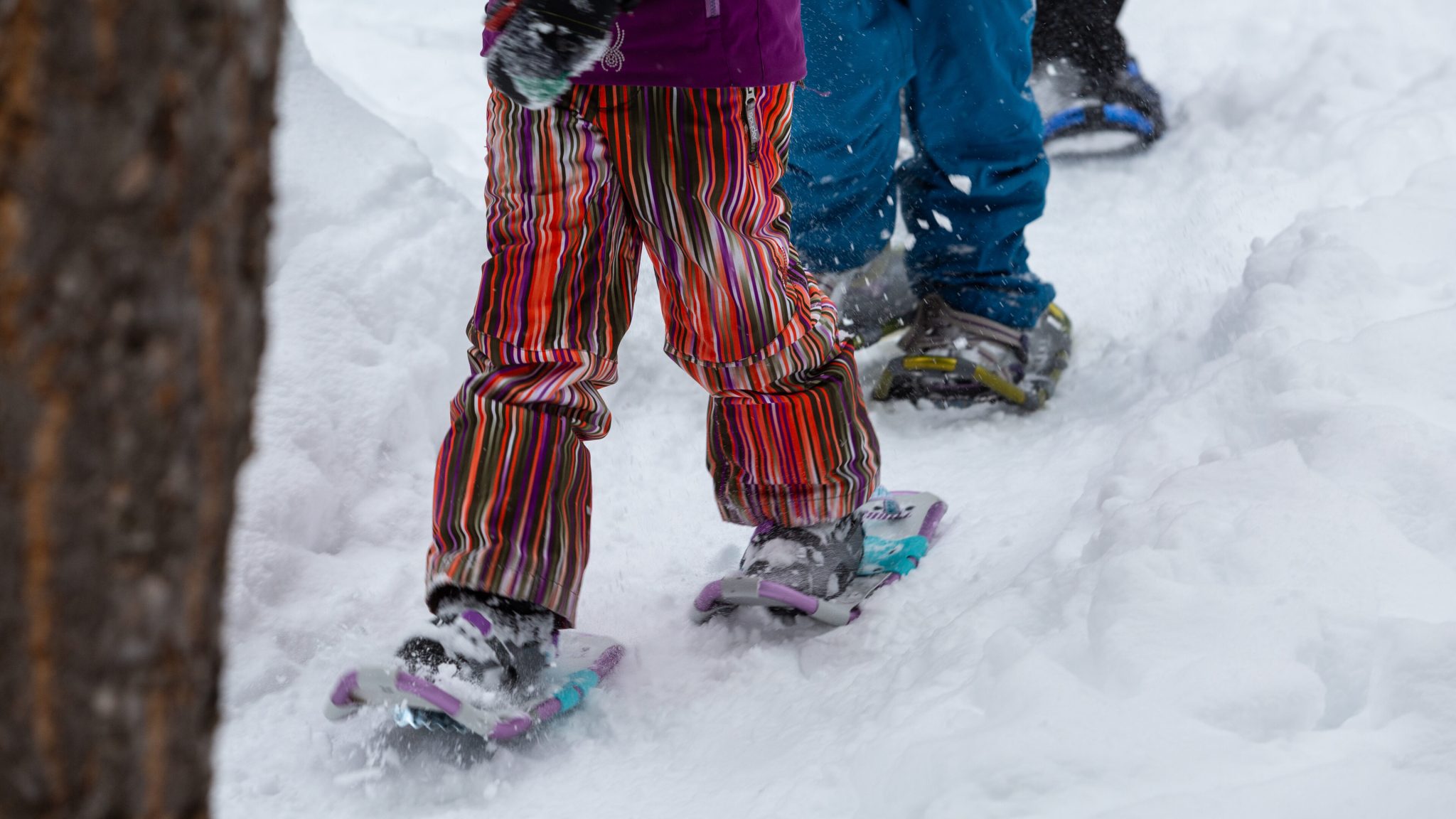 Snowshoe at South Star